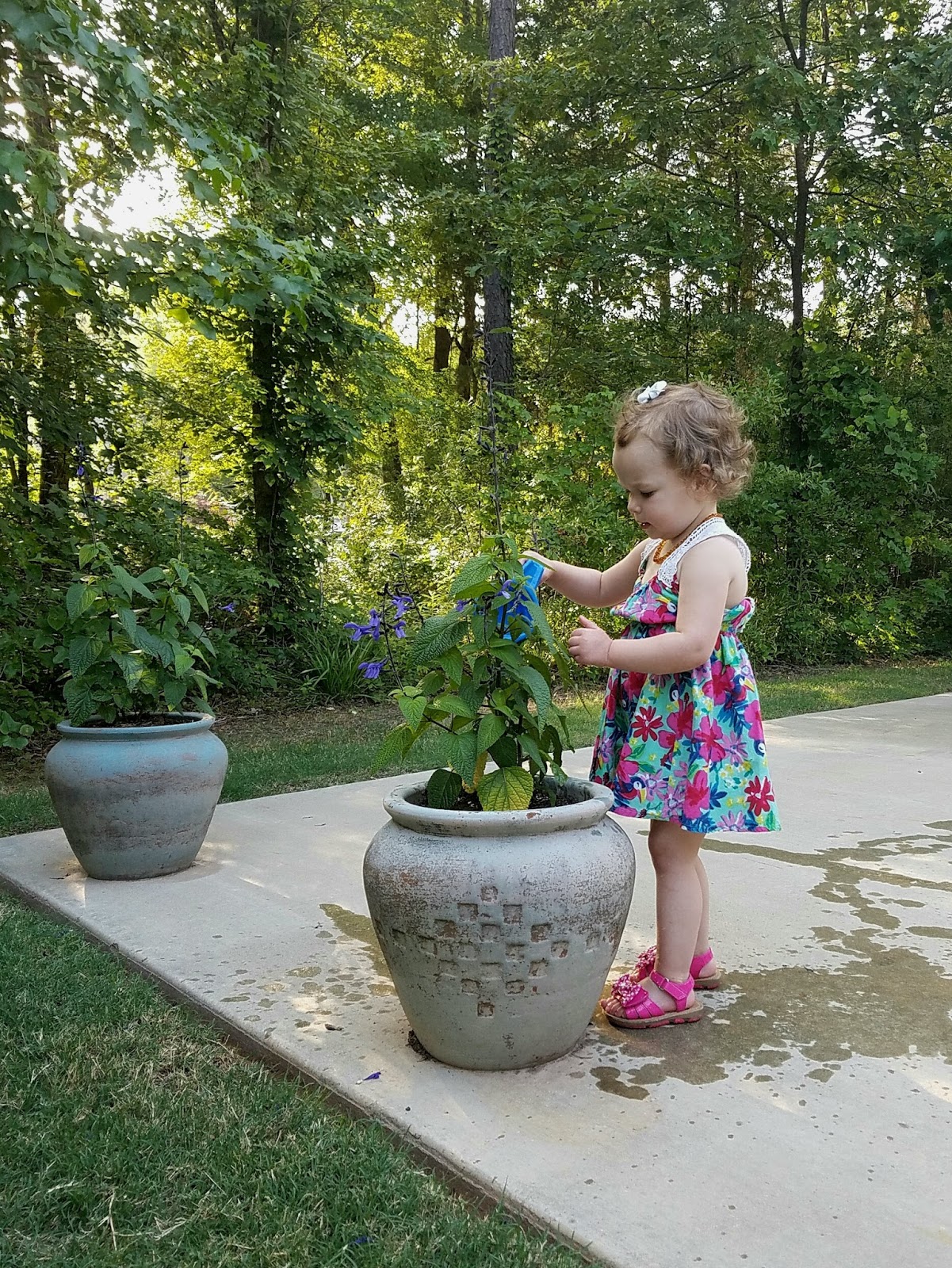 Dandelions and Daffodils She spilled a lot of yogurt