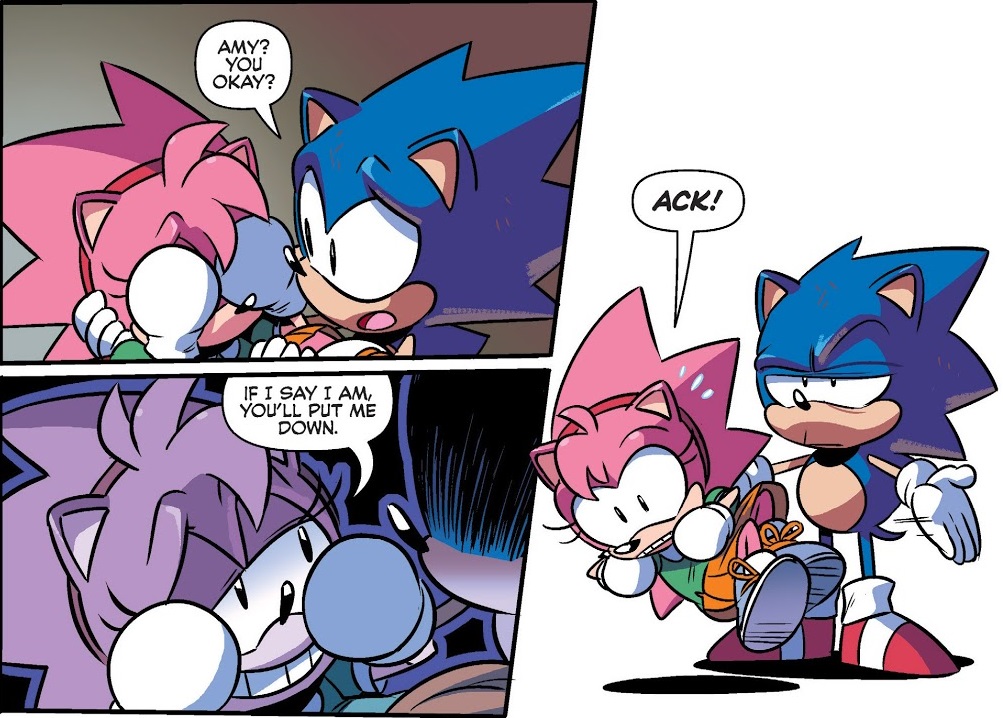 IDW Sonic The Hedgehog #8  A Comic Review by Megabeatman 