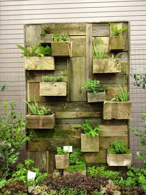Garden Pots Collection - Everything About Garden