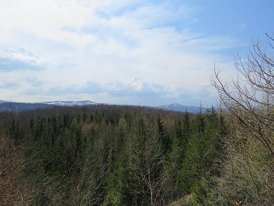Widok na Połoninę Wetlińską. Widok na Połoninę Wetlińską.