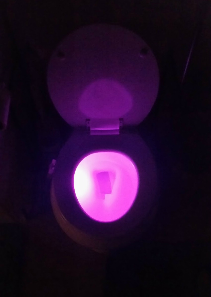 Reviews, Chews & HowTos Review Illumibowl New & Improved!