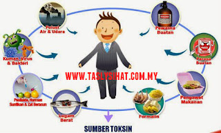 Sumber toksin dalam badan