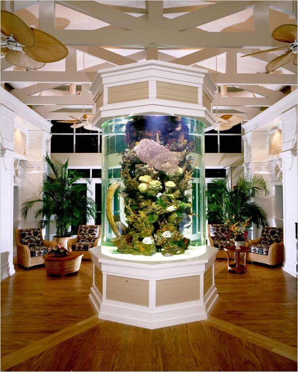 Creatice Fish Tank Room Design for Small Space