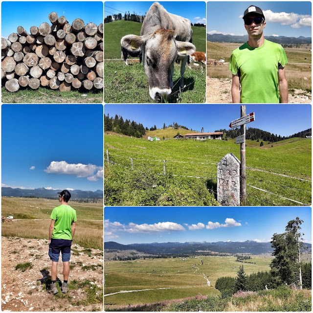 malghe asiago sentiero dei cippi