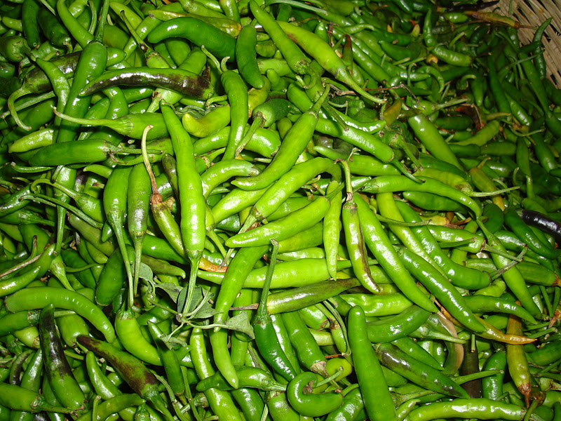 Taste of Nepal Red Pepper, Cayenne pepper, Chilli, Chili Rato