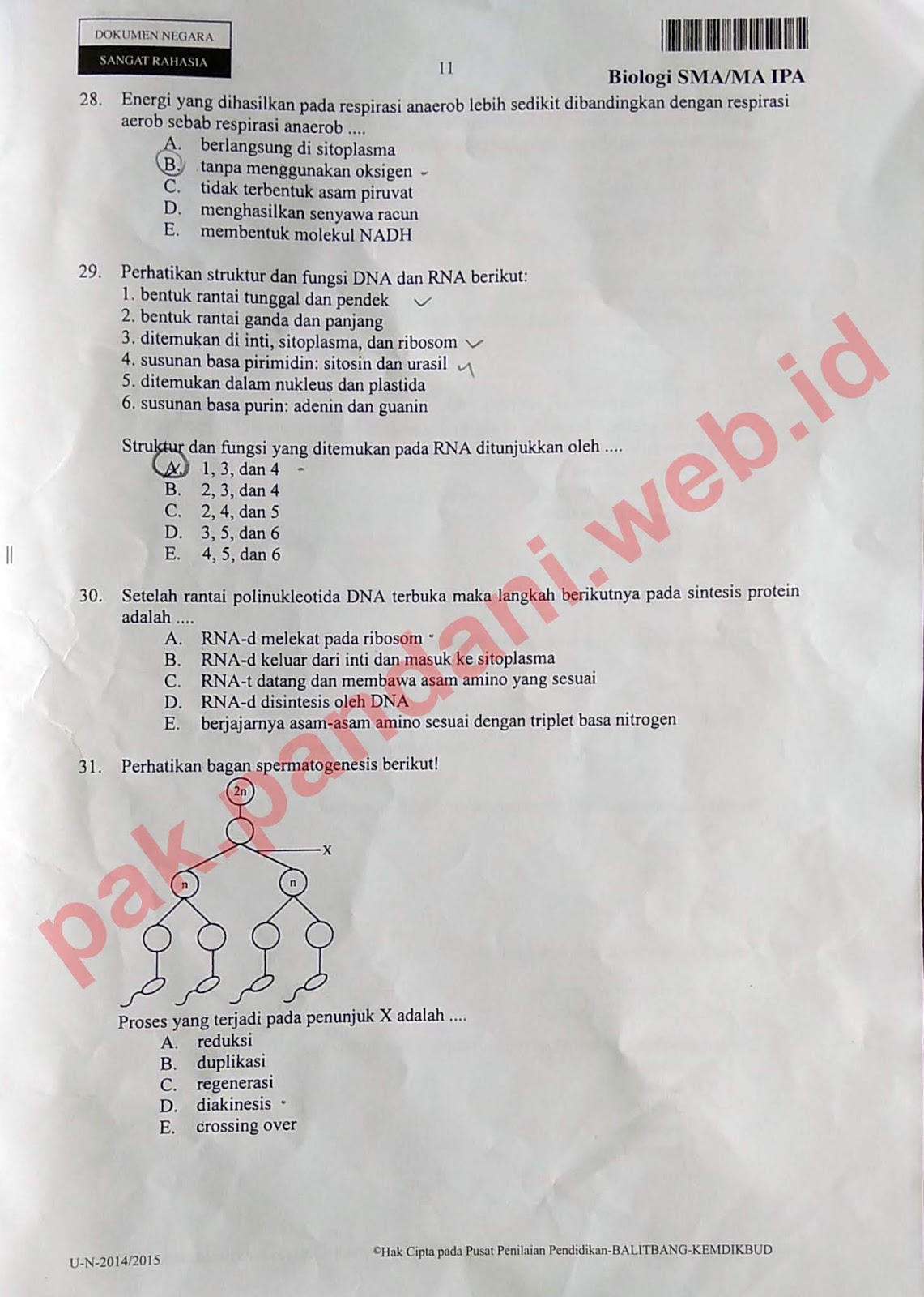 Soal Ujian Negara Plpg 2015 web site edukasi