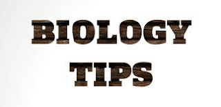 How To Crack MHT CET How To Crack MHT CET
