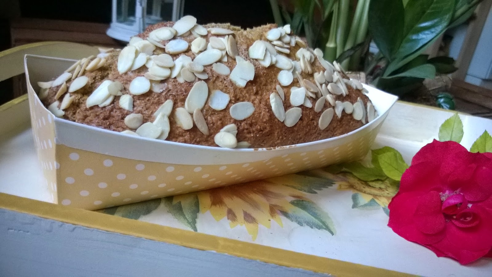 plumcake integrale allo yogurt 