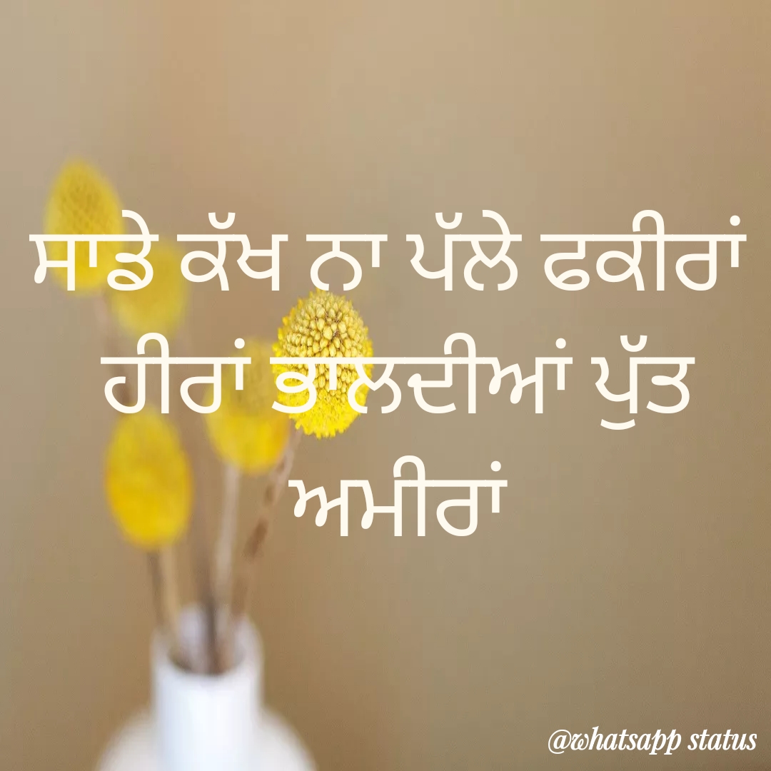 Best 30 new love status punjabi with pics for whatsapp 2020 Best new