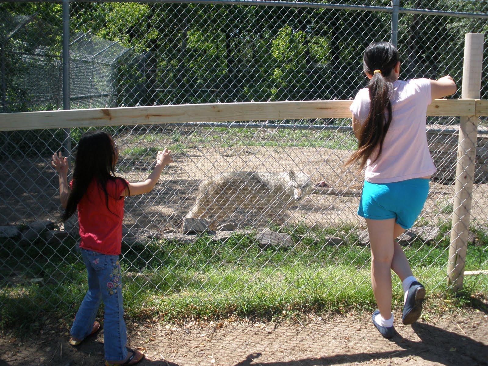 harvest-moon-by-hand-ideas-for-kid-friendly-summer-activities-link
