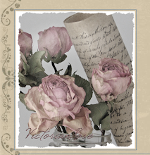 Scroll & Roses