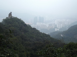 Amah rock , jungle and Shatin in the background.
