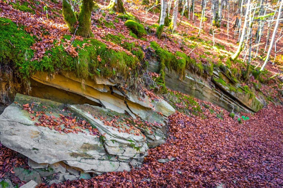 España, Navarra, Pirineo
