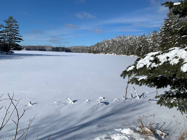 Lac Brown dans le Parc de la Gatineau