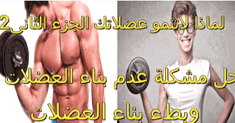اسباب عدم نمو العضلات كيف اجعل عضلاتي تنمو بسرعة الجزء الثانى