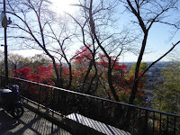 野崎観音・慈眼寺（じげんじ）の紅葉