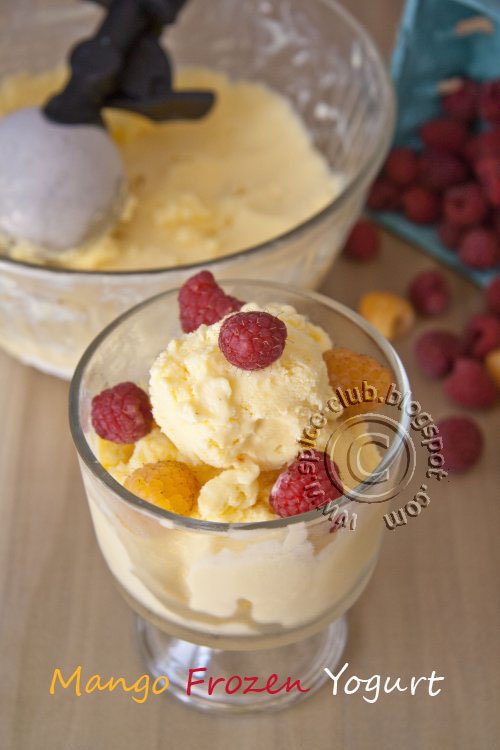 Frozen Mango yogurt and my travel log