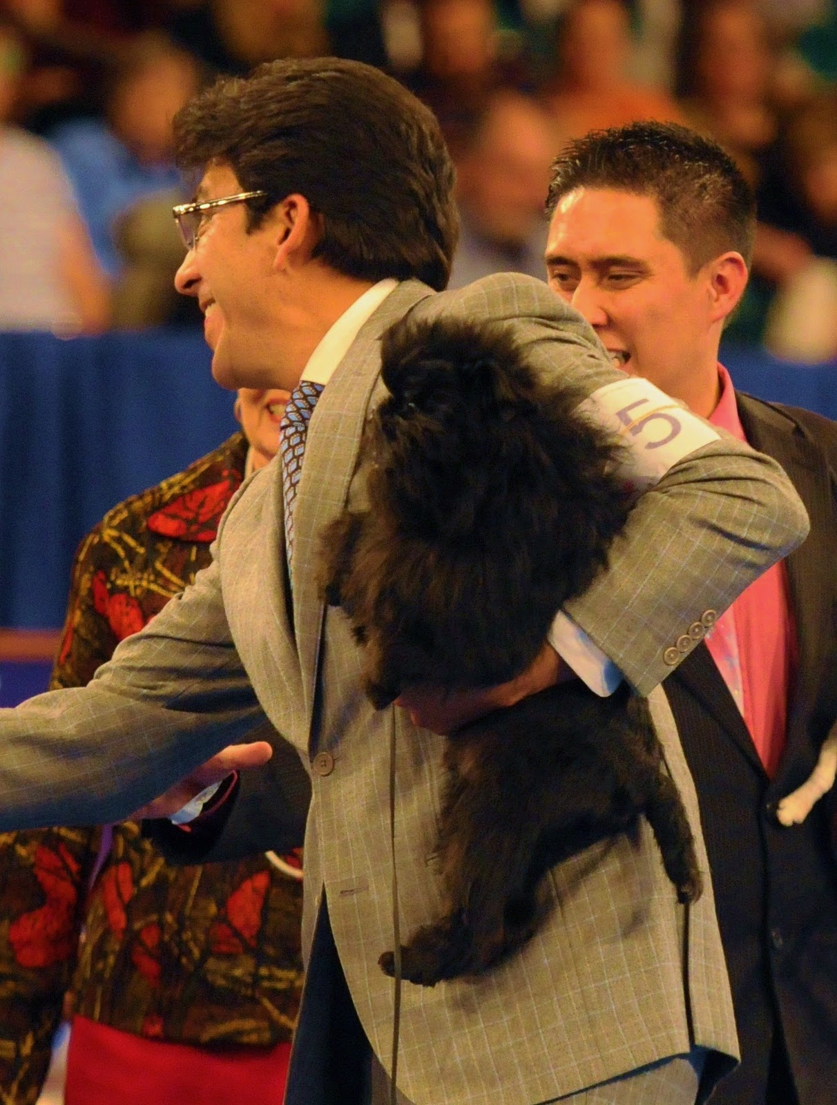 DOG SHOW POOP 20120115