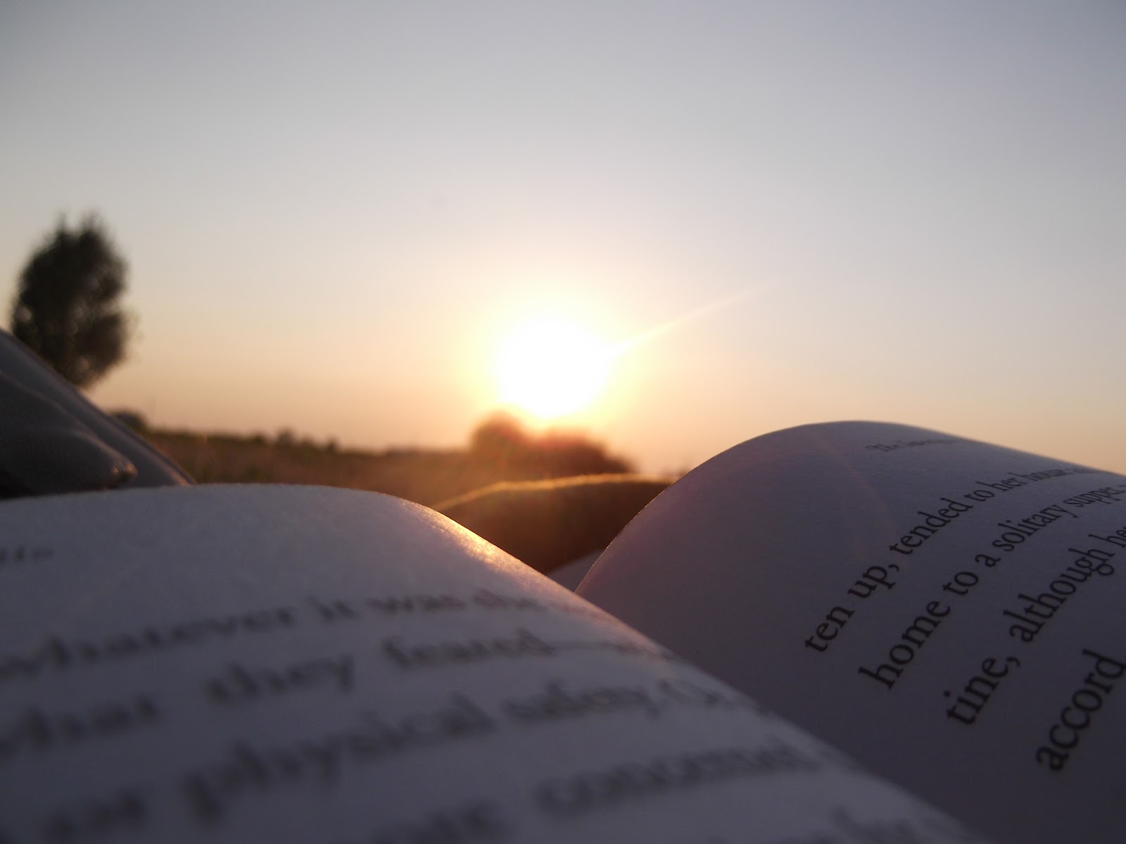 Книга на закате