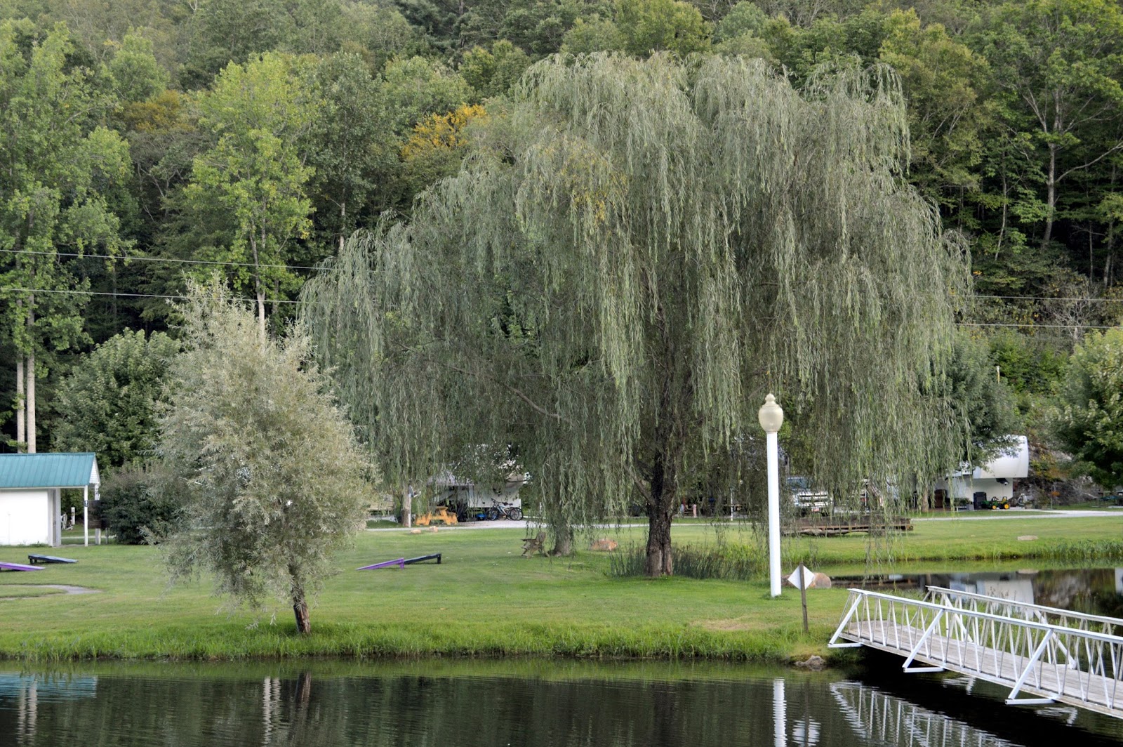 Treasured Traditions Project365 Plumtree, North Carolina