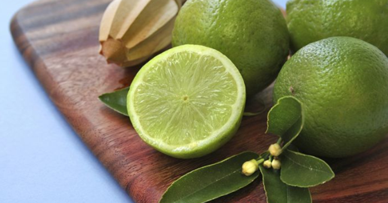 21 Arti Mimpi Tentang Buah Jeruk Nipis Menurut Primbon Jawa Dan Islam Arti Mimpi 21 Arti Mimpi Tentang Buah Jeruk Nipis Menurut Primbon Jawa Dan Islam Arti Mimpi