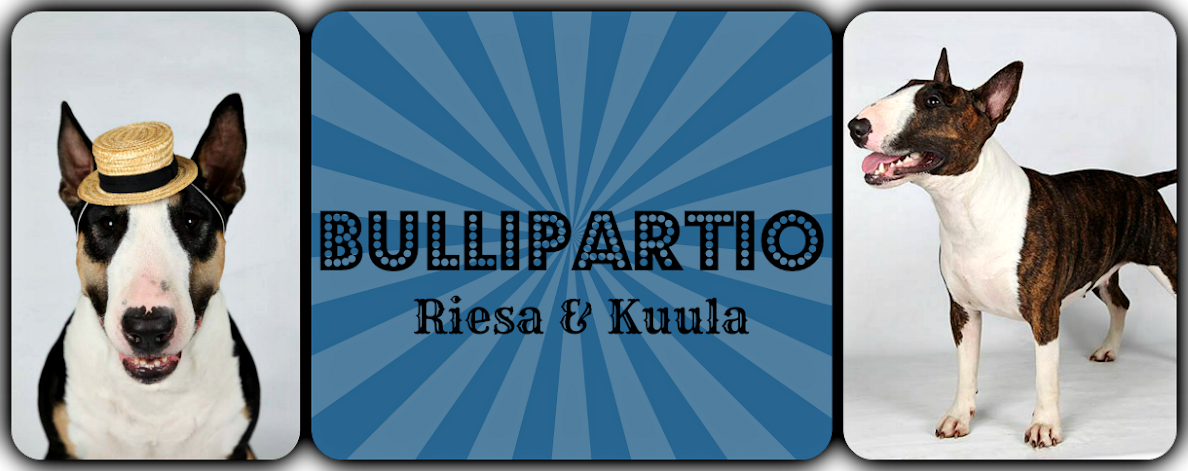 Bullipartio