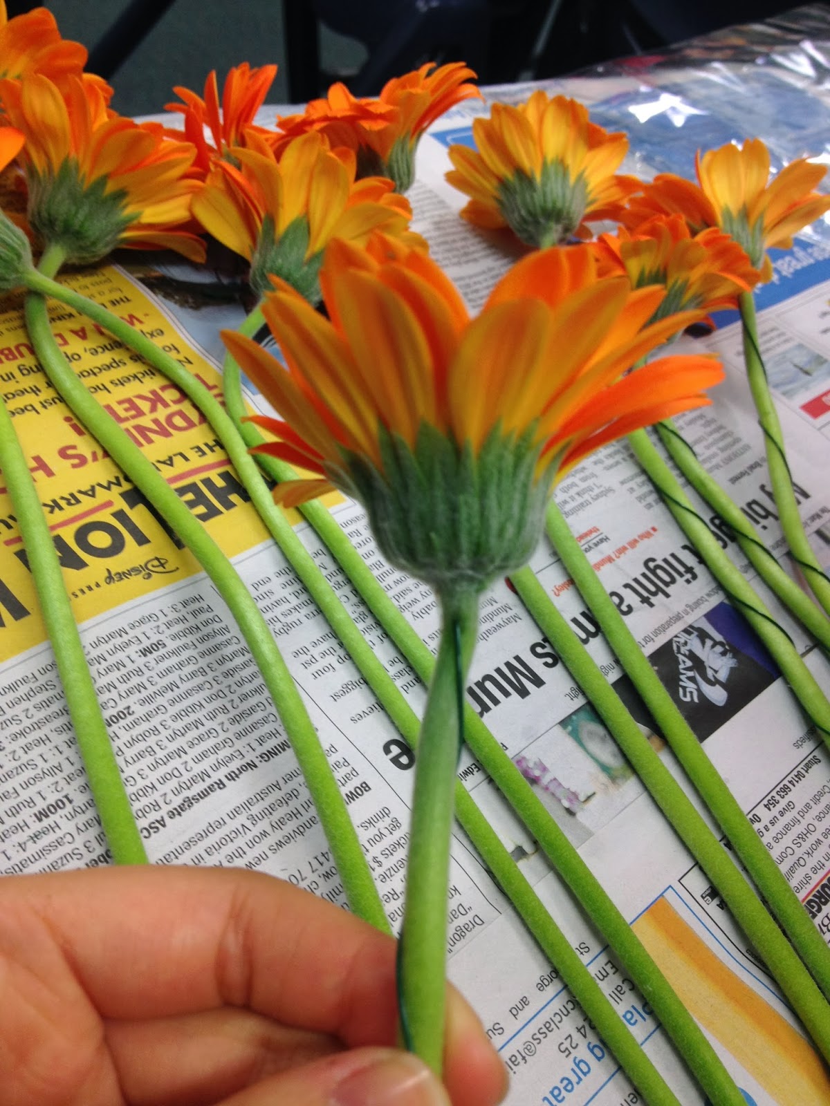 Dear Reader,: October 2013