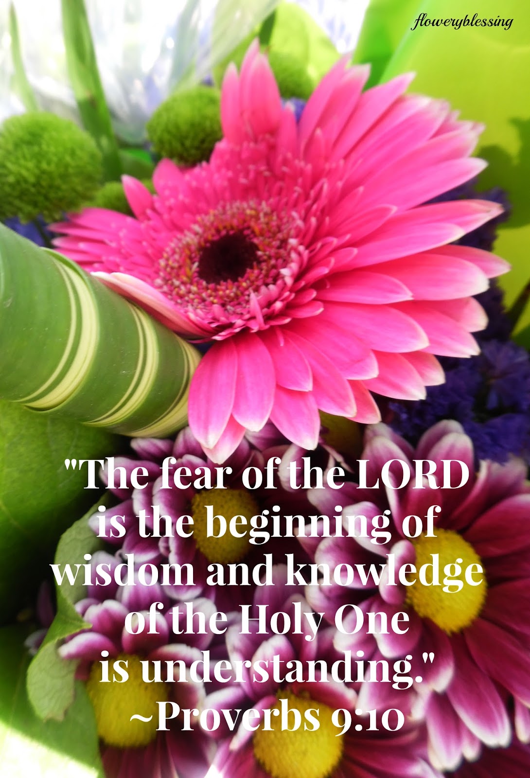 the fear of the lord is the beginning of wisdom and knowledge of the holy one is understanding