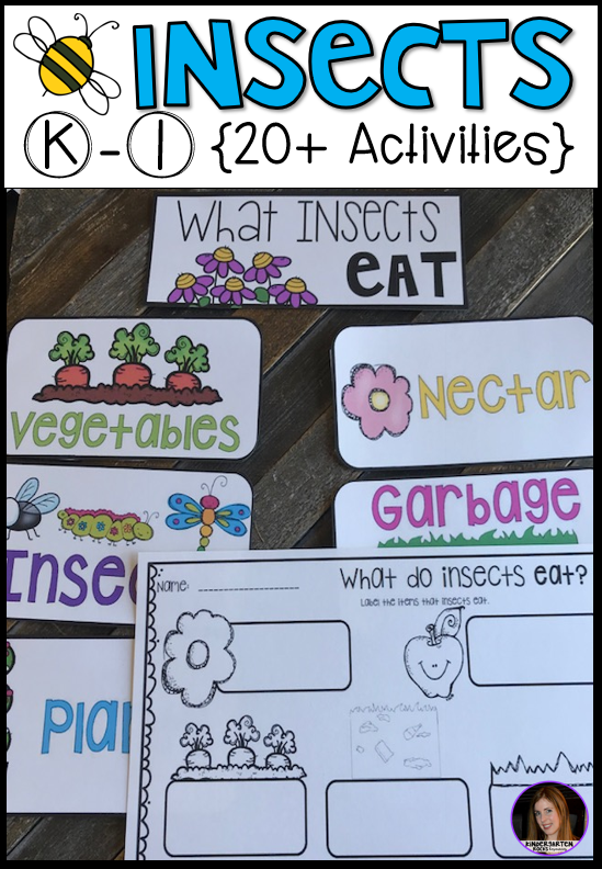Insects 20+ Activities for Kindergarten - Kindergarten Rocks Resources