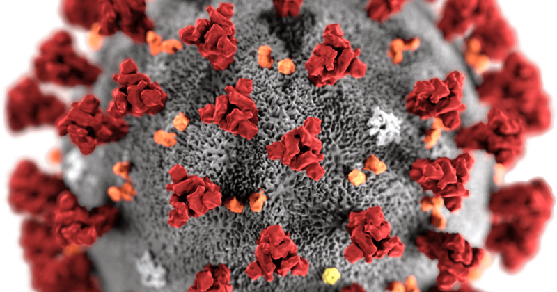 Everything You Need To Know About Coronavirus