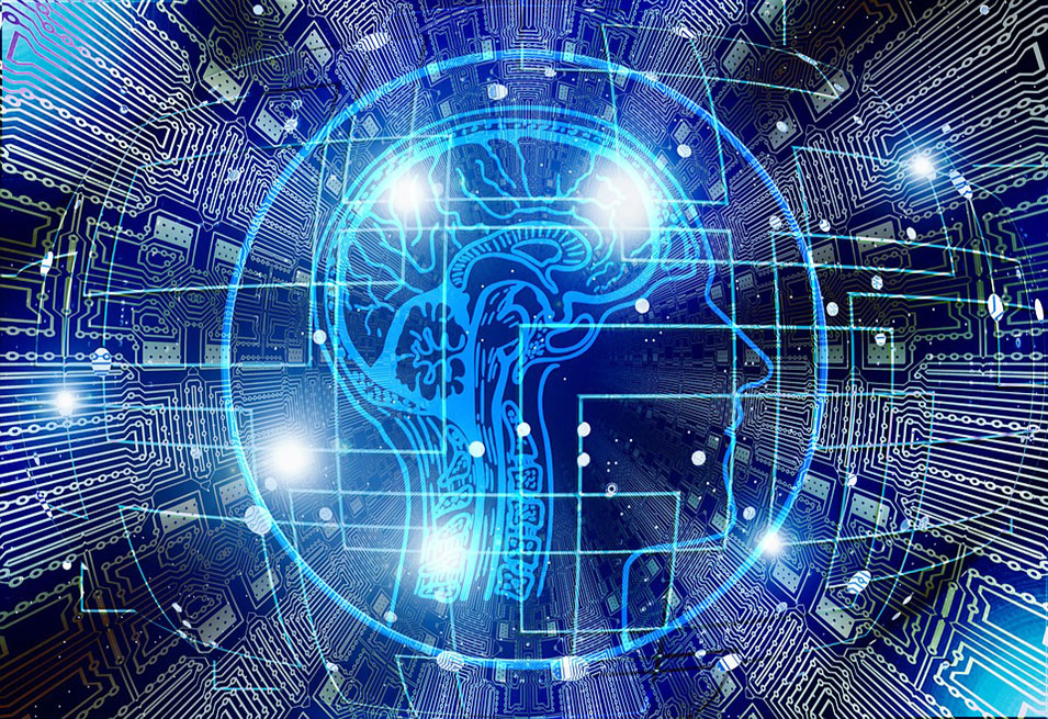 9 Vitamins for Proper Brain Function 9 Vitamins for Proper Brain Function