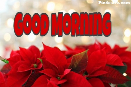 Best 20 Good Morning Images | Good Morning Images for Whatsapp Best 20 Good Morning Images | Good Morning Images for Whatsapp