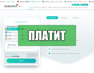 Скриншоты выплат с хайпа elquirex.net Скриншоты выплат с хайпа elquirex.net