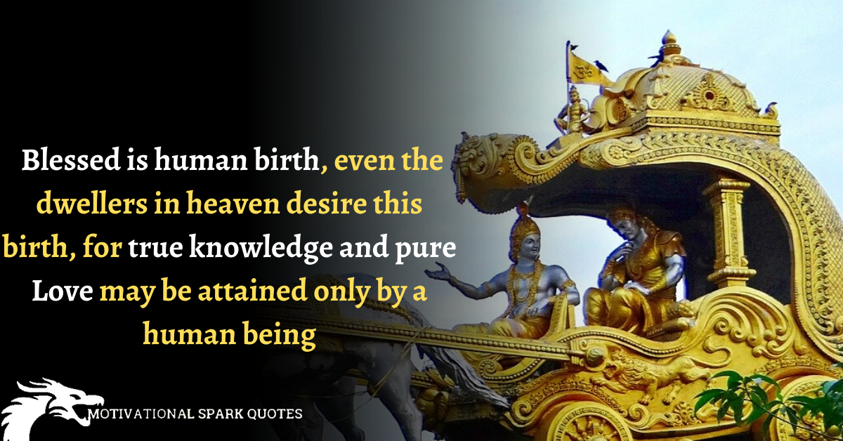 'Lord Krishna Quotes on love',That Will Teach You Concept of True Love.