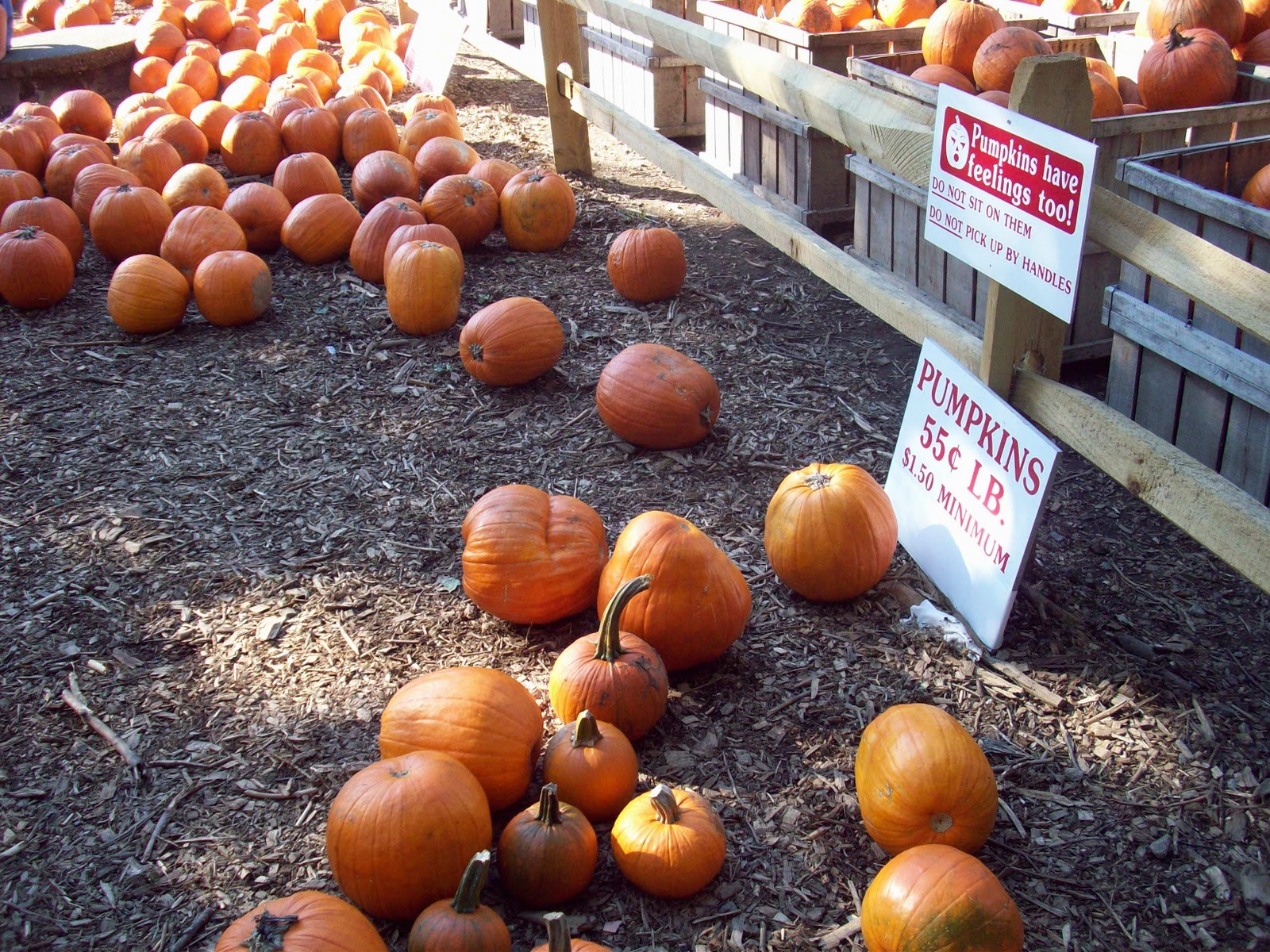 The [We]lch Family Honey Pot Hill Orchard