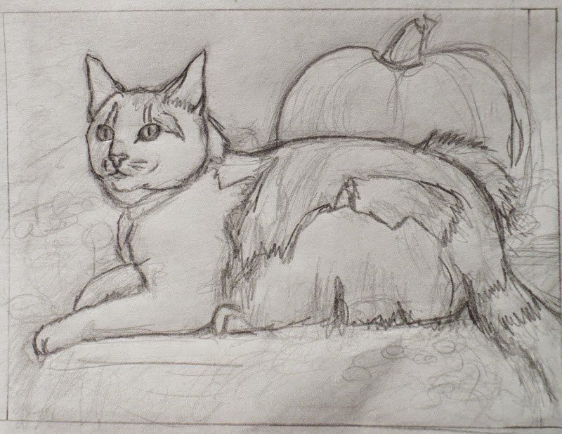 initial sketch for Pumpkin cat portrait