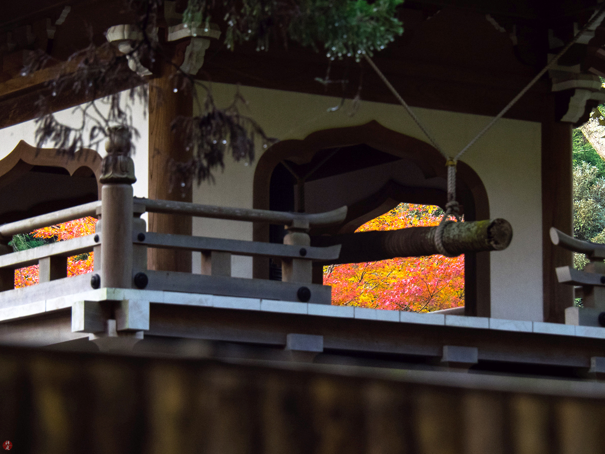 FROM THE GARDEN OF ZEN Autumn leaves Jyochiji