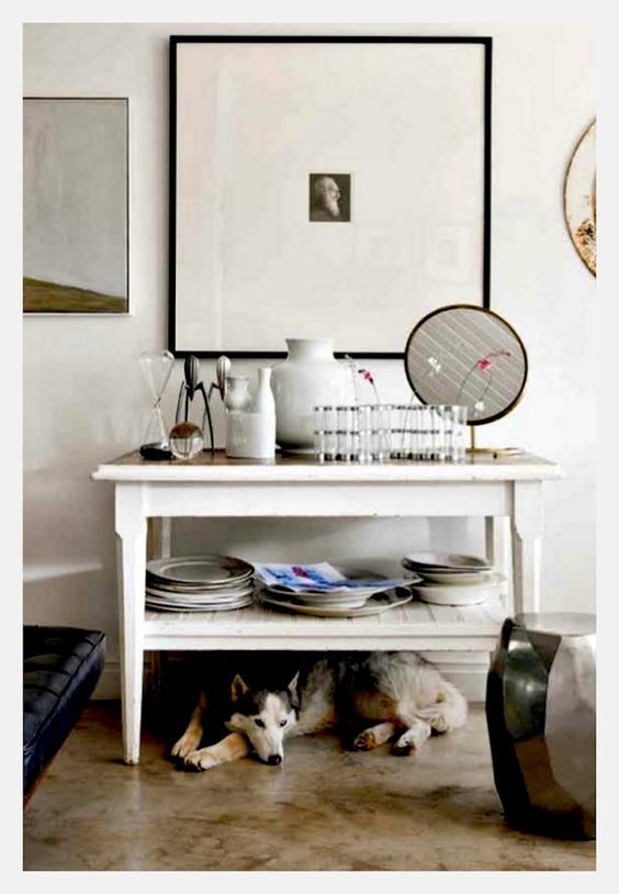 NOSSOS FIÉIS COMPANHEIROS