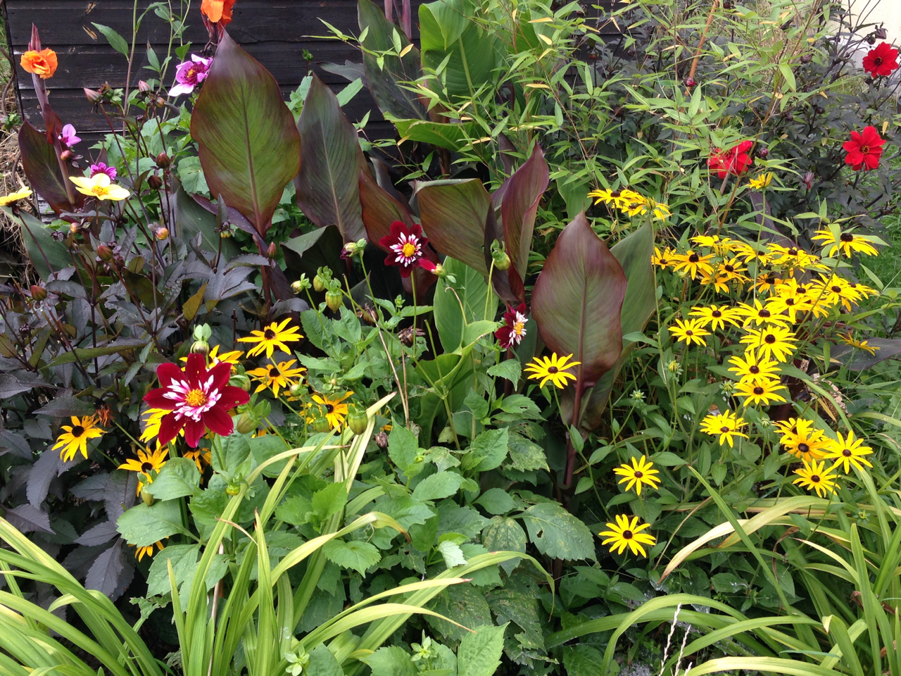 Planting Ideas Garden Design