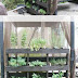 gardening Vertical with a pallet