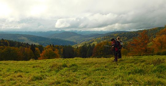 Nad doliną Wierchomlanki.