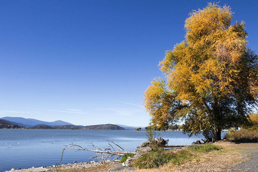 Photographing Oregon Foster Lake