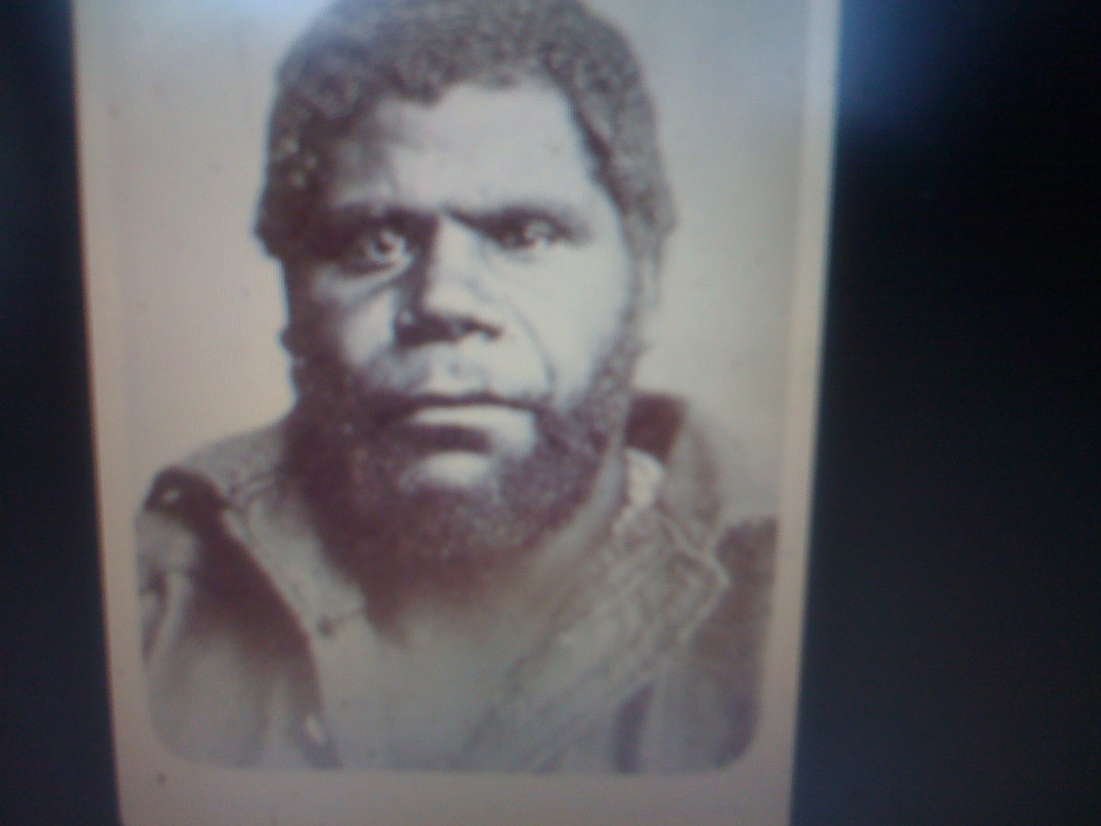 THE BLACK SOCIAL HISTORY BLACK SOCIAL HISTORY THE BLACK TASMANIANS