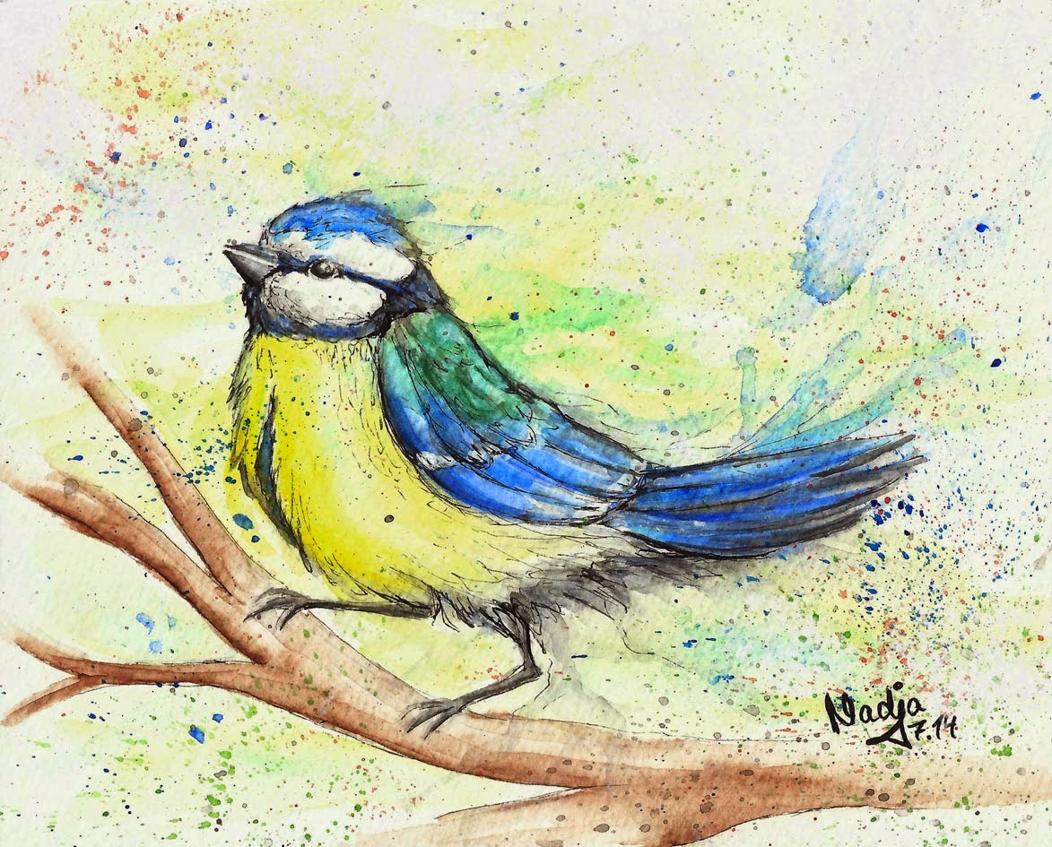 Bilder von Blaumeisen: Zeichnen lernen mit den kleinen blauen Freunden