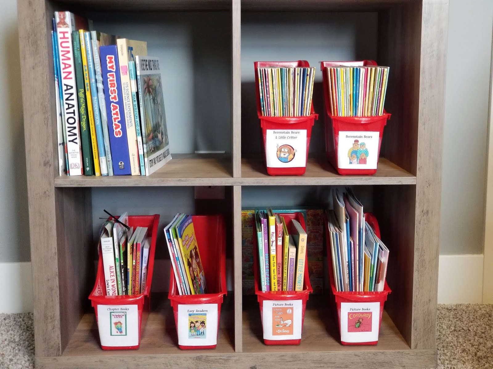 DIY Storage Hacks for Kids' Books