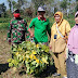 Dampak Civid-19 Serka Sugiyono Pelopori Peningkatan Ketahanan Pangan Bersama Warga Binaannya
