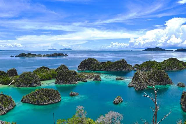 Raja Ampat: A World of Adventure Heaven in the Edge of Papua