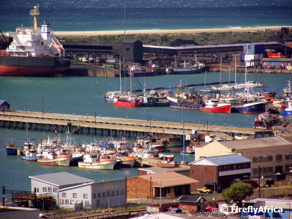 Port Elizabeth Daily Photo Fishing boats in the harbour