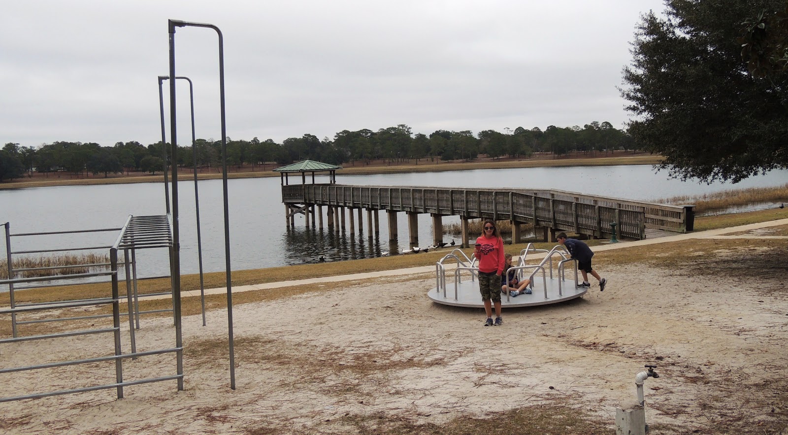 1000 Hikes in 1000 Days Day 752 Pine Log State Forest Crooked Creek