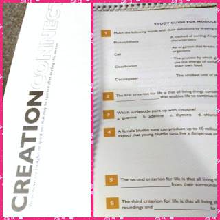 exploring creation with general science workbook samples 2